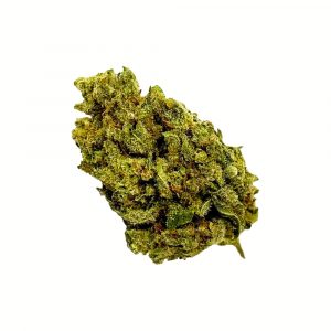 AMNESIA -2GR
