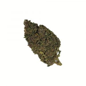 PURPLE PUNCH-2GR